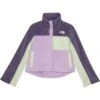 The North Face Kids Fleece Mashup Jacket (Little Kids/Big Kids)