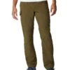 Columbia Silver Ridge™ Convertible Pant -Daily Clothes Store 61boZGVAXGL. AC SR736920