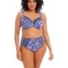 Elomi Morgan Underwire Full Cup Bra With Stretch Lace -Daily Clothes Store 81TjOrsqbGL. AC SR736920