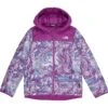 The North Face Kids ThermoBall™ Hooded Jacket (Toddler) -Daily Clothes Store 81iRoxizMJL. AC SR736920
