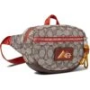 COACH Utility Belt Bag -Daily Clothes Store 81y FJSUlXL. AC SR736920